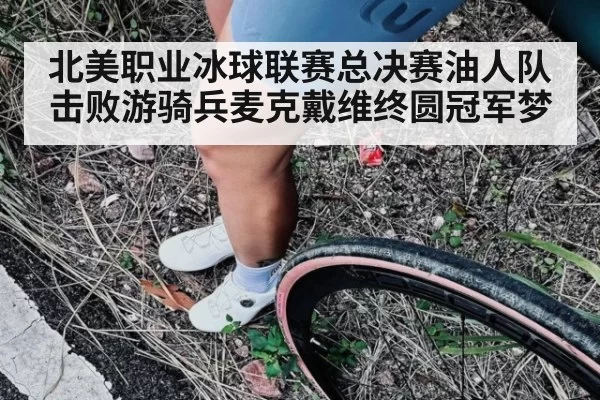 北美职业冰球联赛总决赛油人队击败游骑兵麦克戴维终圆冠军梦