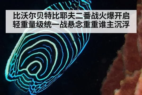 比沃尔贝特比耶夫二番战火爆开启 轻重量级统一战悬念重重谁主沉浮